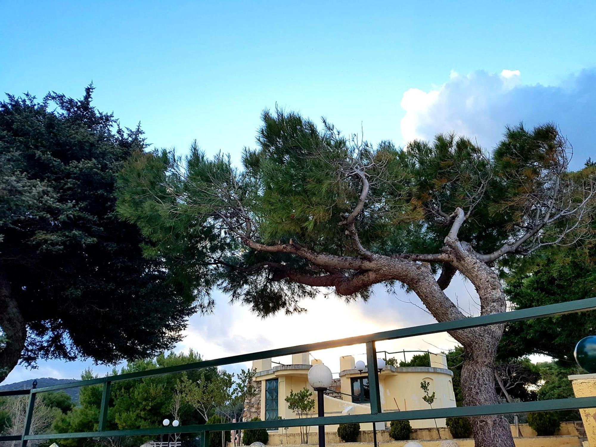 ארטמידה Silis Houses On The Beach חדר תמונה